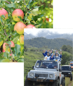 Tentang Kami – Kebun 8